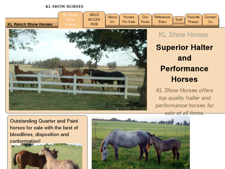 www.klshowhorses.com