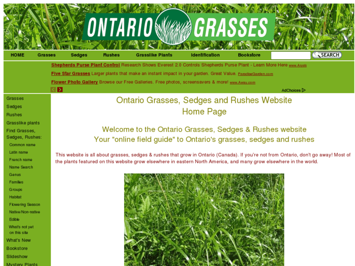 www.ontariosedges.com