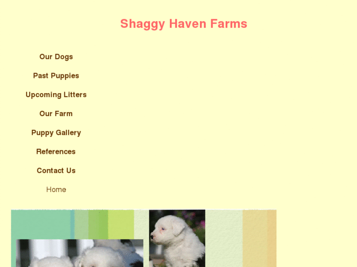 www.shaggyhaven.com