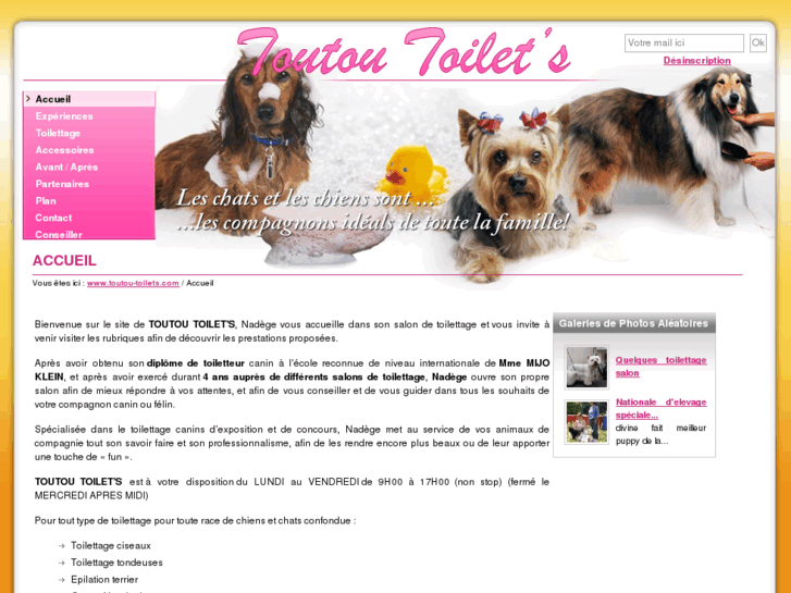 www.toutou-toilets.com