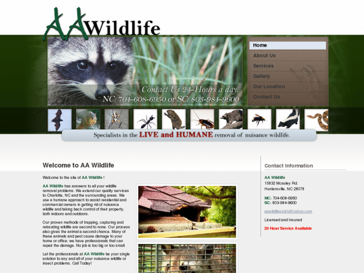 www.aawildlife.com