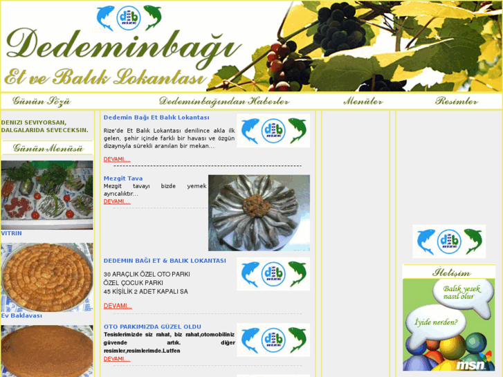 www.dedeminbagi.com