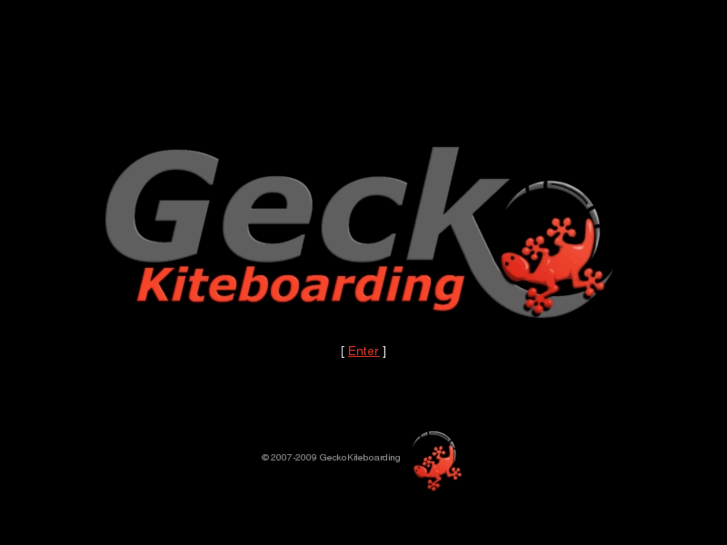 www.geckokiteboarding.com