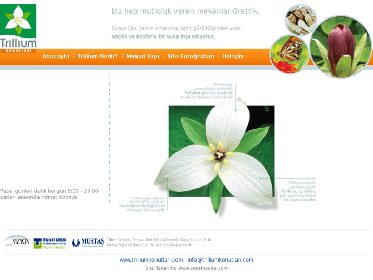 www.trilliumkonutlari.com
