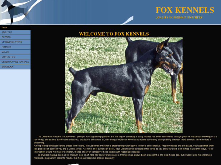 www.foxkennel.com