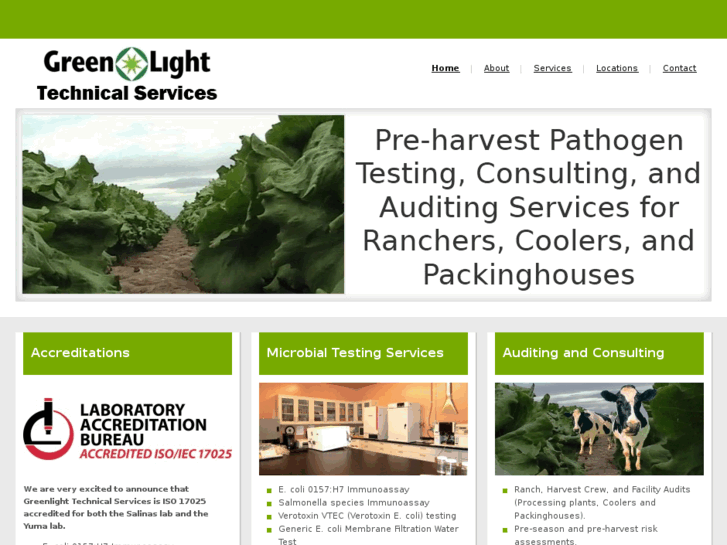 www.greenlighttechnicalservices.com