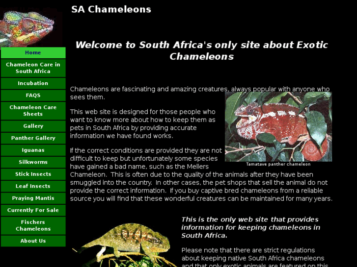 www.sa-chameleons.com