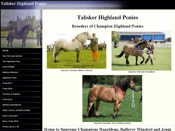 www.taliskerhighlandponies.com