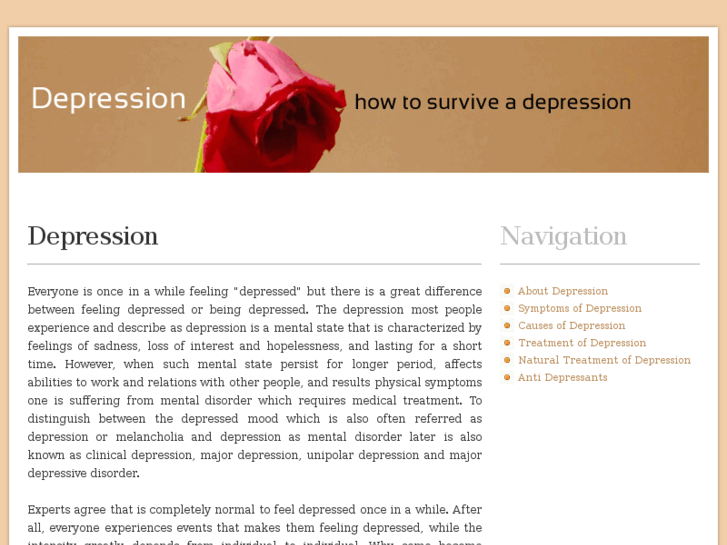 www.depressionres.com