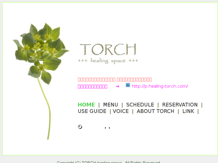 www.healing-torch.com