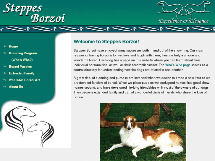 www.steppesborzoi.com