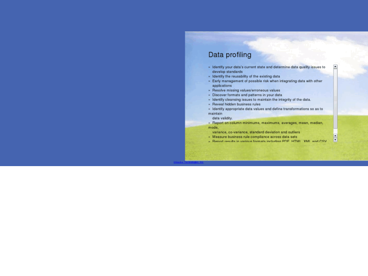 www.dataprofiling.net