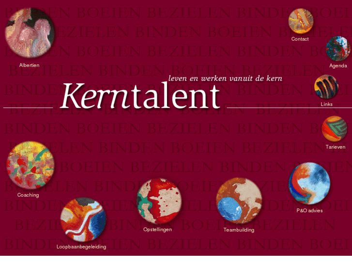 www.kerntalent.nl