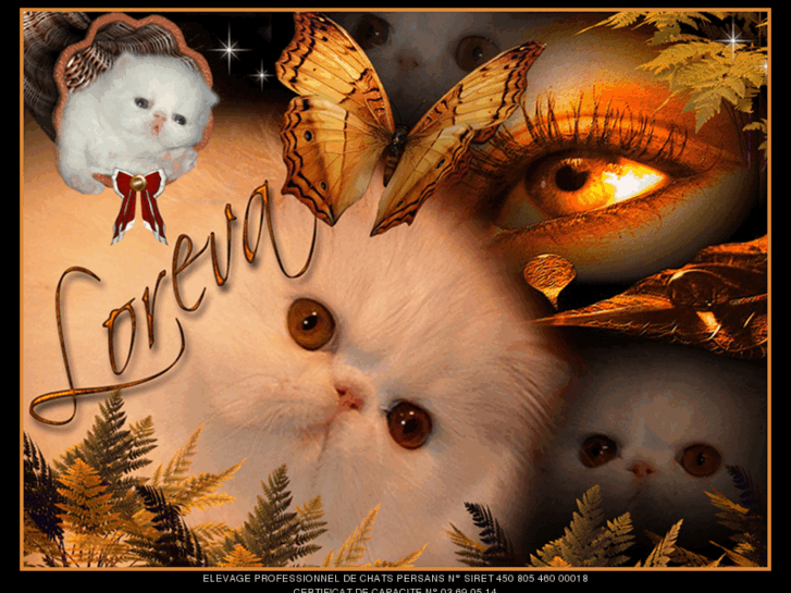 www.loreva.net