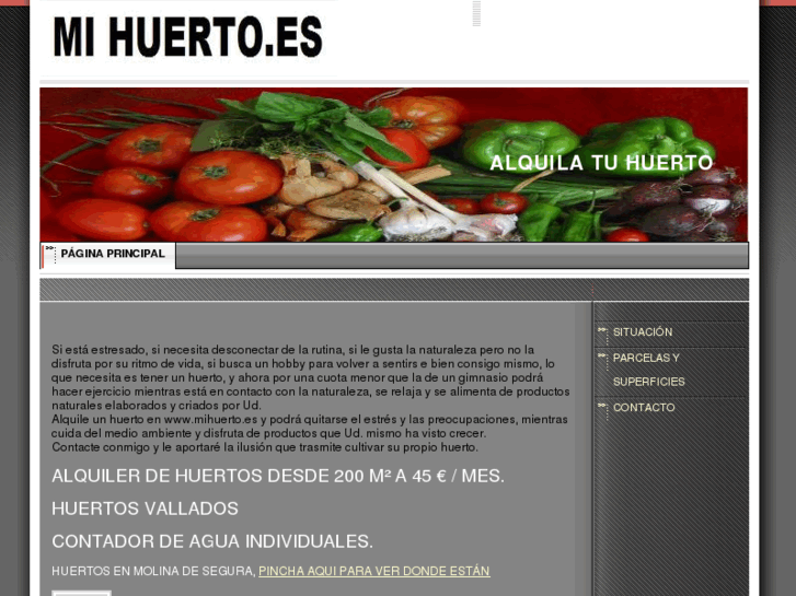 www.mihuerto.es