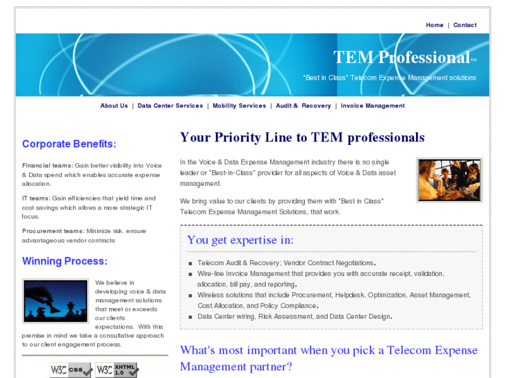 www.temprofessional.com