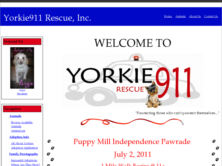 www.yorkie911rescue.com