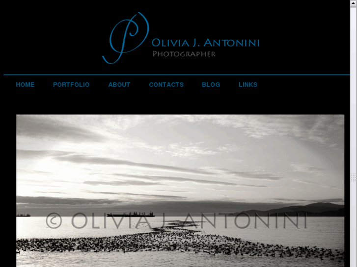 www.oliviajantonini.com