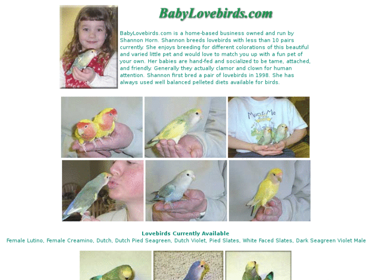 www.babylovebirds.com