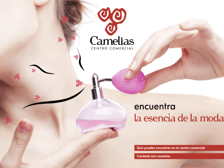 www.cameliascc.com