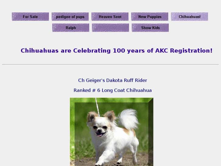 www.dakotachihuahuas.com