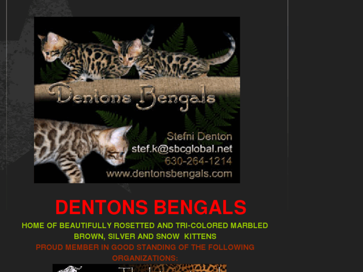 www.dentonsbengals.com