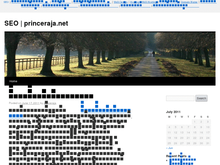 www.princeraja.net