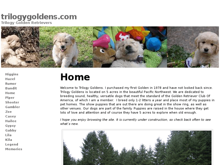 www.trilogygoldens.com