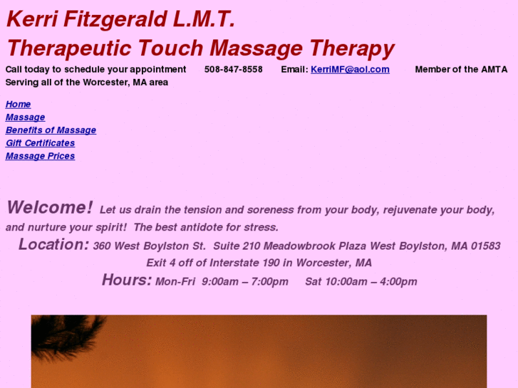 www.ttmassagetherapy.com