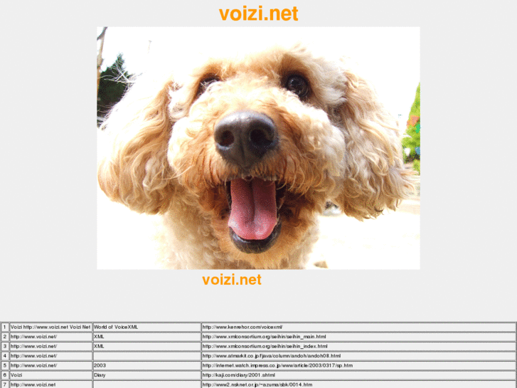 www.voizi.net