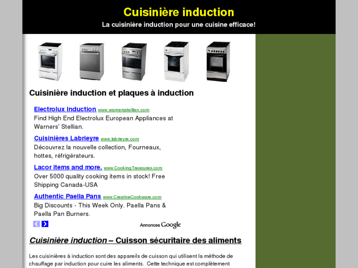 www.cuisiniereinduction.net