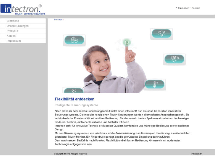 www.intectron.net