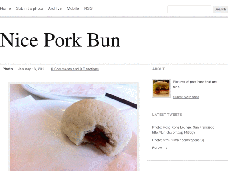 www.niceporkbun.com