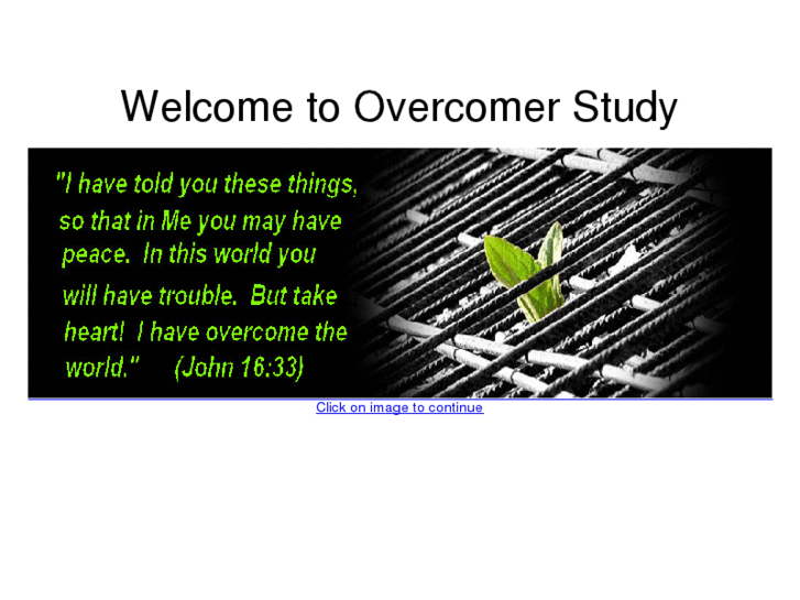 www.overcomerstudy.org