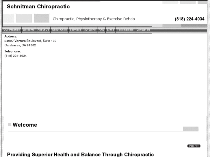 www.schnitmanchiro.com