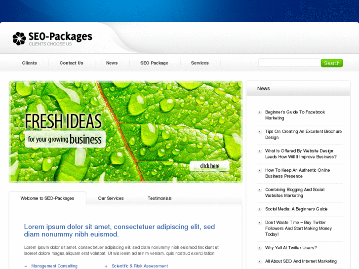 www.seo-package.co.uk