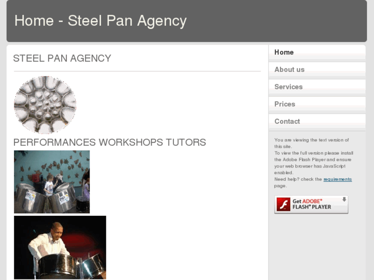 www.steelpanagency.com