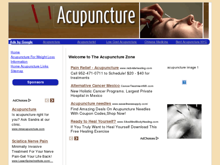 www.theacupuncturezone.com