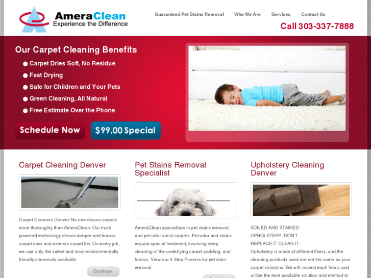 www.ameracleancarpet.com