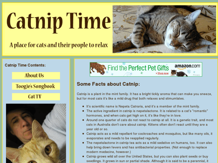 www.catniptime.com