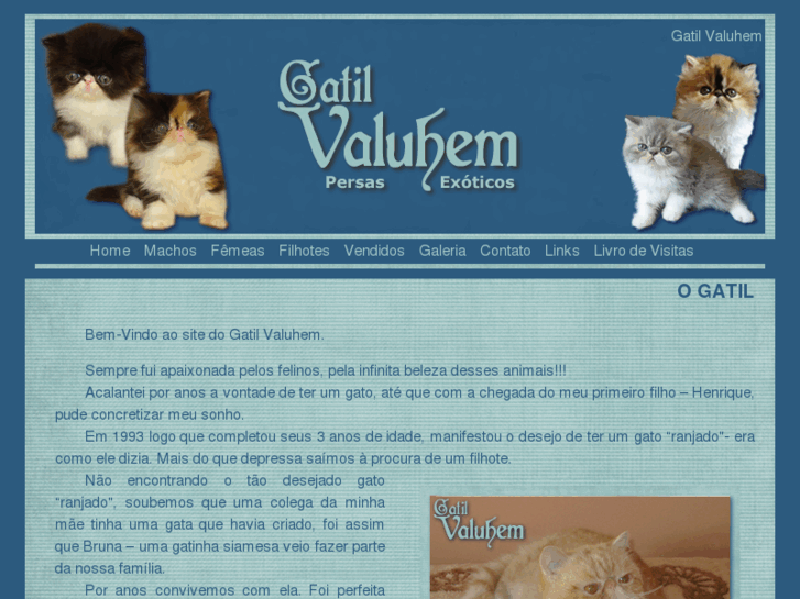 www.gatilvaluhem.com