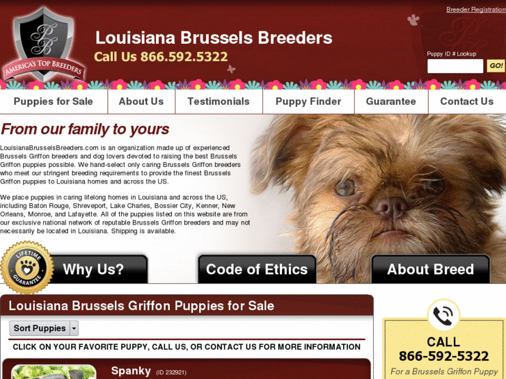 www.louisianabrusselsbreeders.com