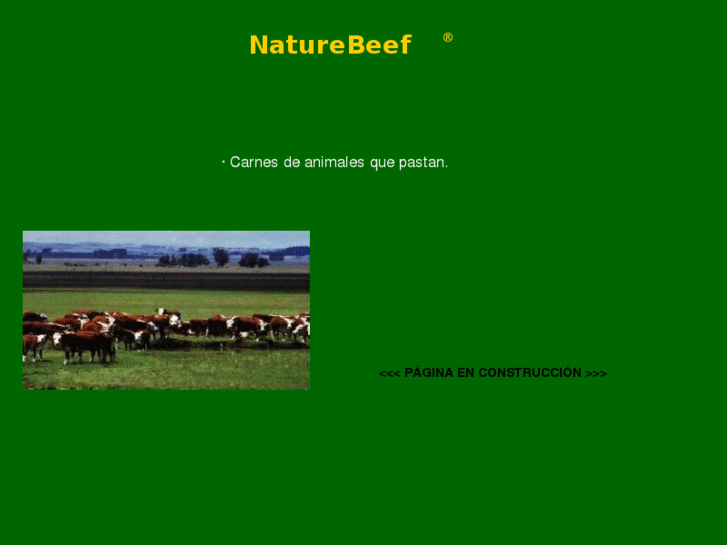 www.naturebeef.net