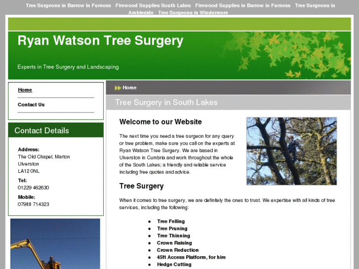 www.ryanwatsontreesurgerysouthlakes.com