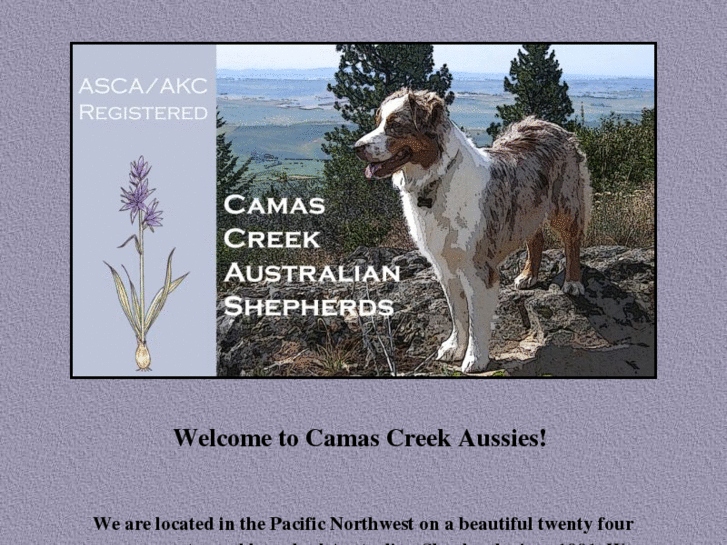 www.camascreek.net