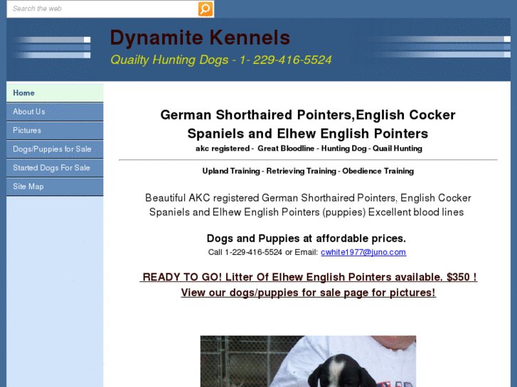 www.dynamitekennels.com