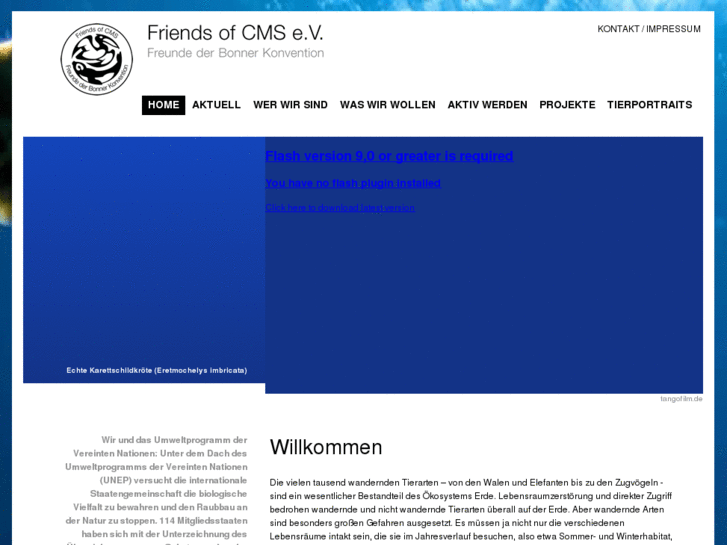 www.friendsofcms.de