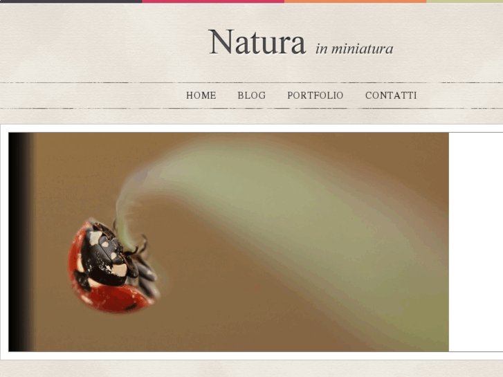 www.naturainminiatura.com