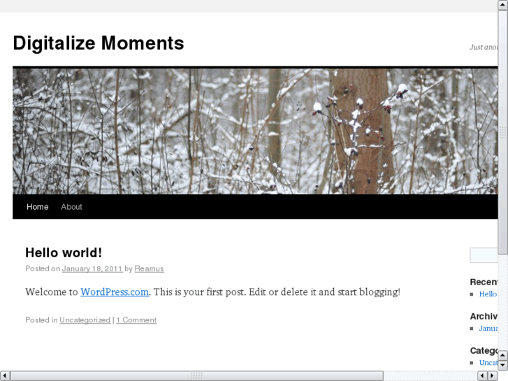 www.digitalisemoments.com