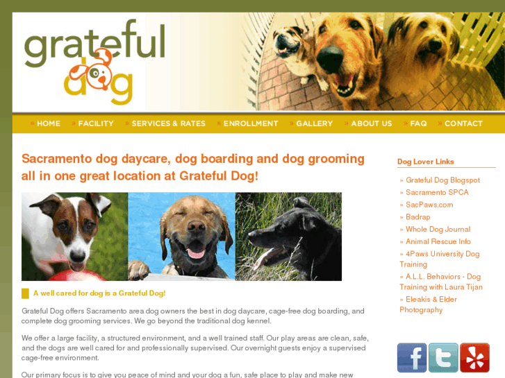 www.gratefuldogdaycare.com